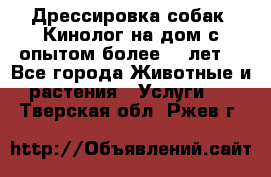 Дрессировка собак (Кинолог на дом с опытом более 10 лет) - Все города Животные и растения » Услуги   . Тверская обл.,Ржев г.